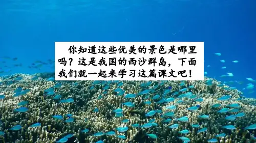 部编版《富饶的西沙群岛》PPT课件