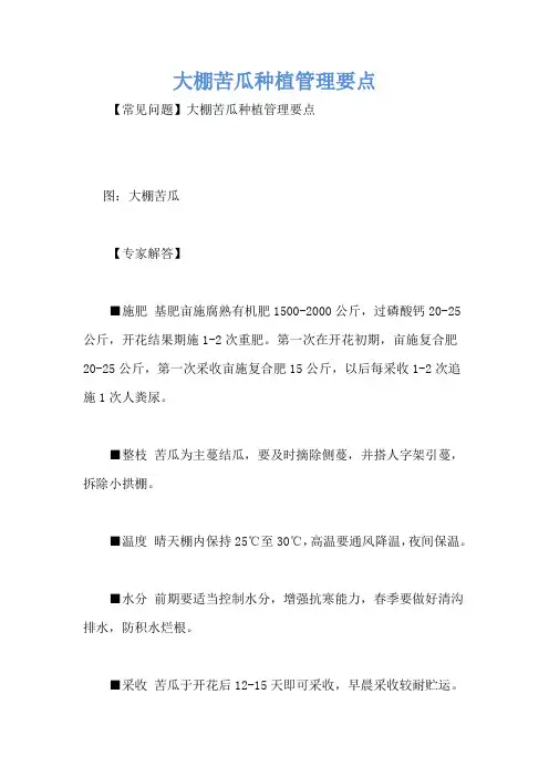 大棚苦瓜种植管理要点