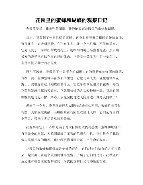 小学三年级作文花园里的蜜蜂和蝴蝶的观察日记