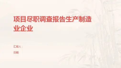项目尽职调查报告生产制造业企业
