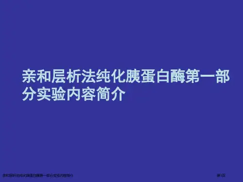 亲和层析法纯化胰蛋白酶第一部分实验内容简介