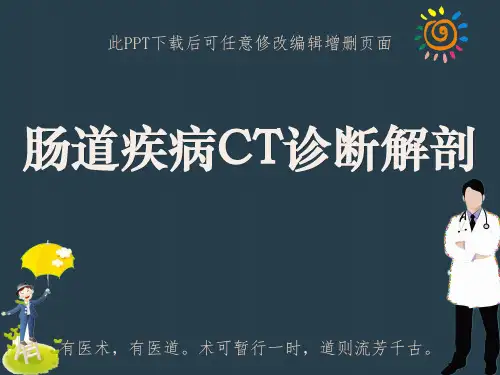 肠道疾病CT诊断解剖PPT