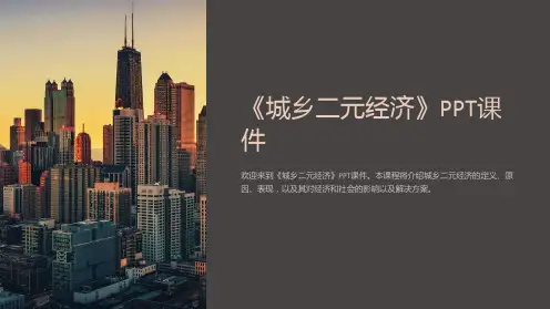 《城乡二元经济》课件