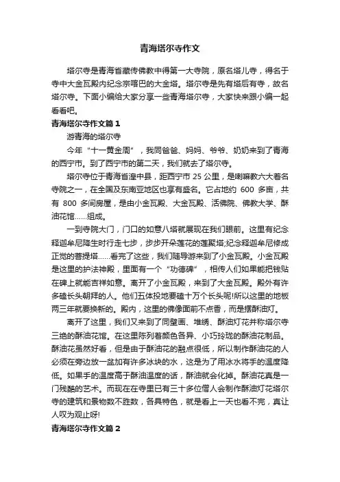 青海塔尔寺作文