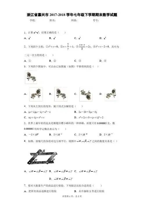 浙江省嘉兴市2017-2018学年七年级下学期期末数学试题