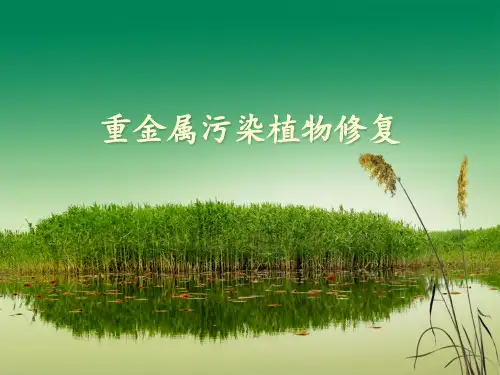 重金属污染植物修复