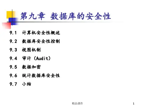 第九章数据库的安全性ppt课件
