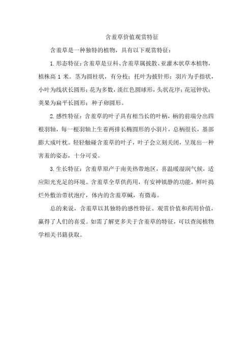 含羞草价值观赏特征