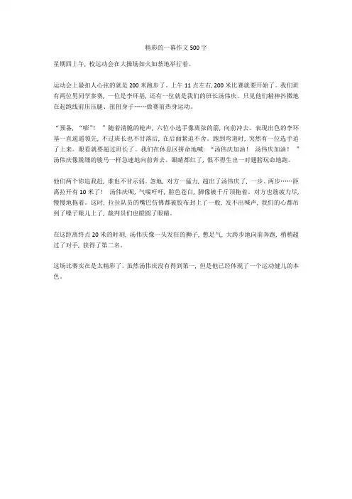 精彩的一幕作文500字高分作文