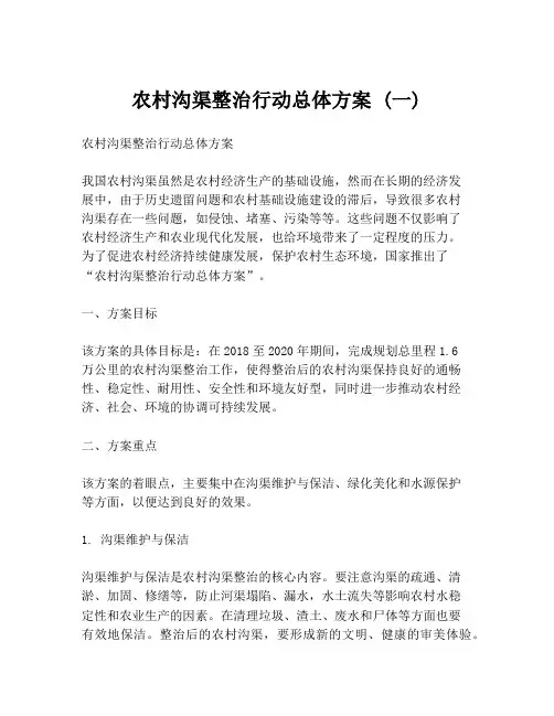 农村沟渠整治行动总体方案 (一)