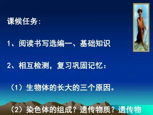 动物体的结构层次PPT课件23
