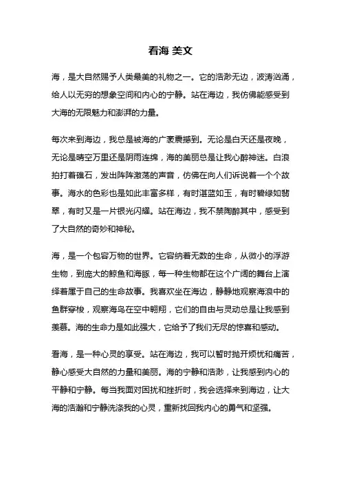 看海 美文
