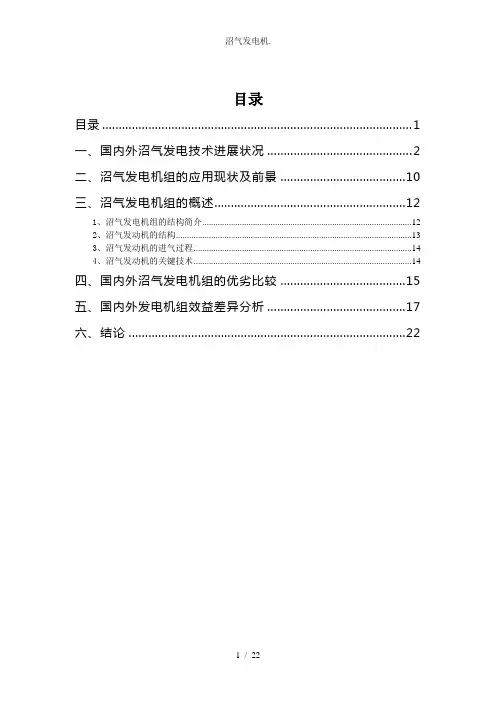 沼气发电机.