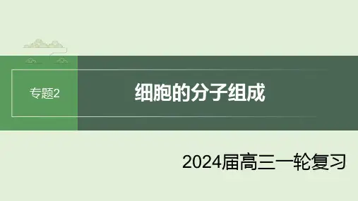 【高中生物】2024届高三生物一轮复习课件 细胞中的元素和无机物 细胞中的糖类和脂质