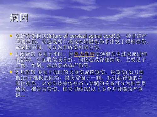 颈髓损伤ppt课件