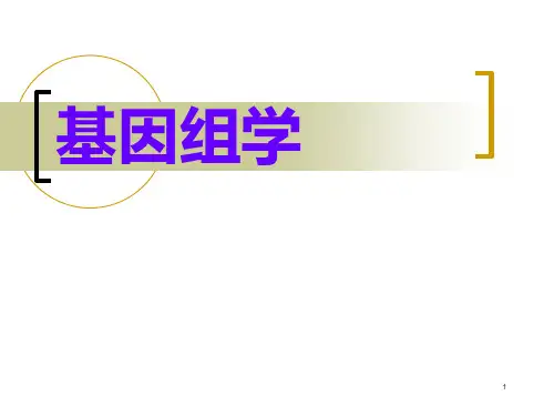 基因组学PPT课件