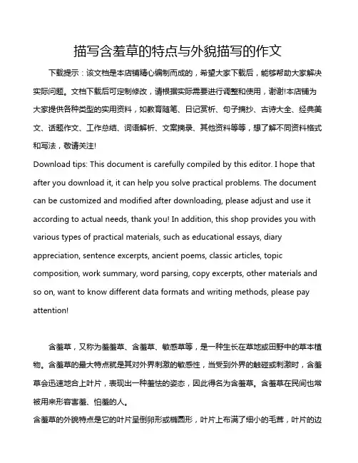 描写含羞草的特点与外貌描写的作文