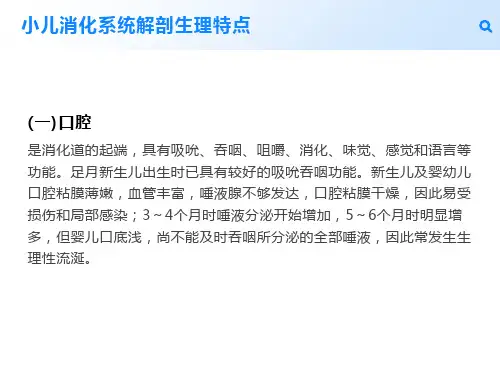 小儿消化系统解剖生理