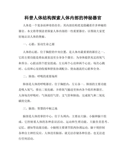 科普人体结构探索人体内部的神秘器官