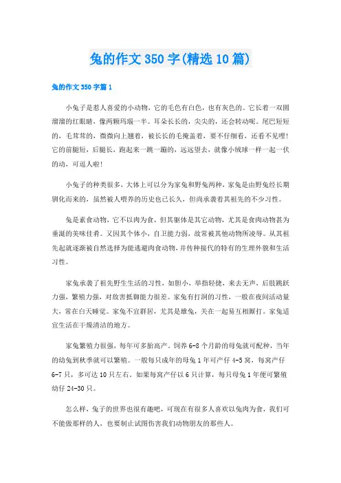 兔的作文350字(精选10篇)