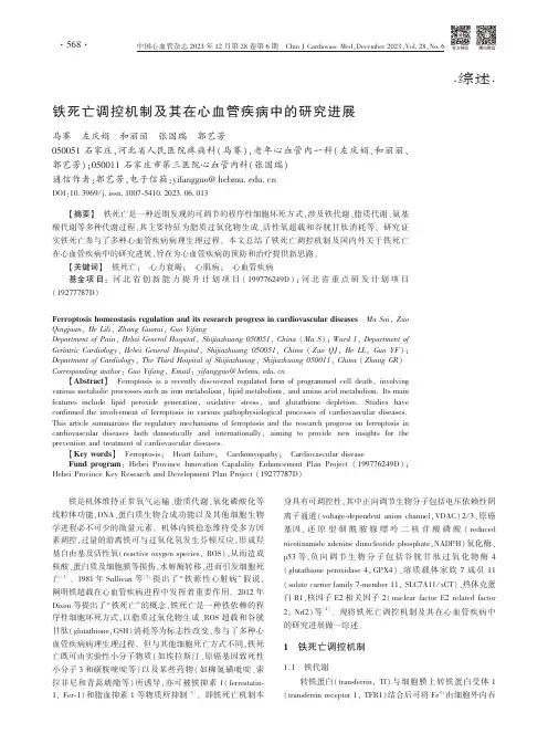 铁死亡调控机制及其在心血管疾病中的研究进展