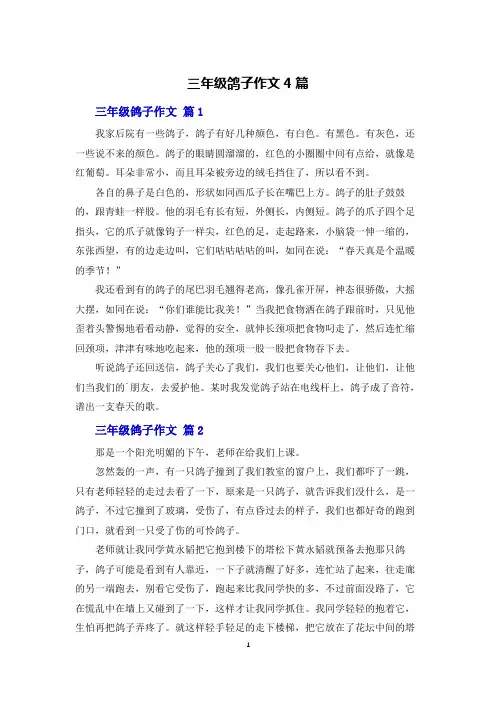 三年级鸽子作文4篇