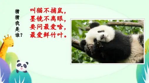 习作：国宝大熊猫ppt课件