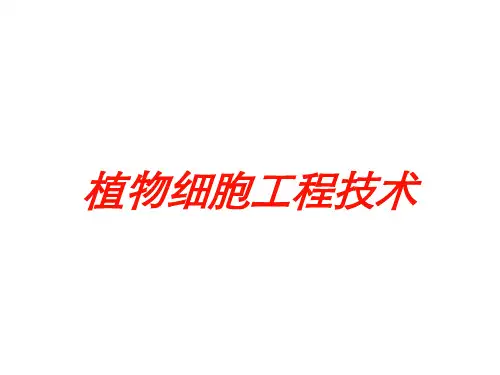 植物细胞工程技术培训课件