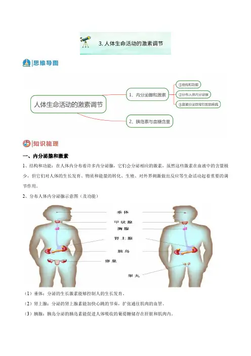 3人体生命活动的激素调节(原卷版)