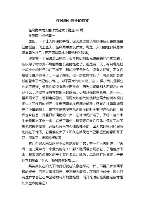 在风雨中成长的作文