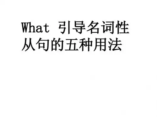 what引导名词性从句总结