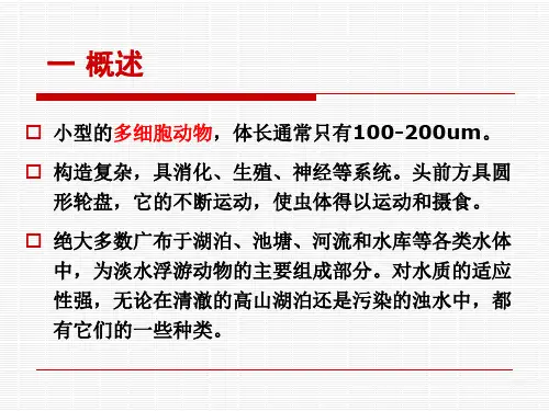 水生生物学轮虫动物门
