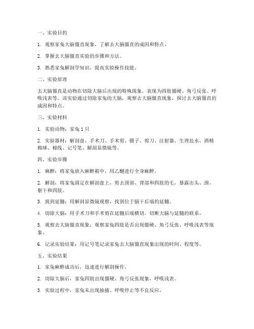 家兔大脑僵实验报告