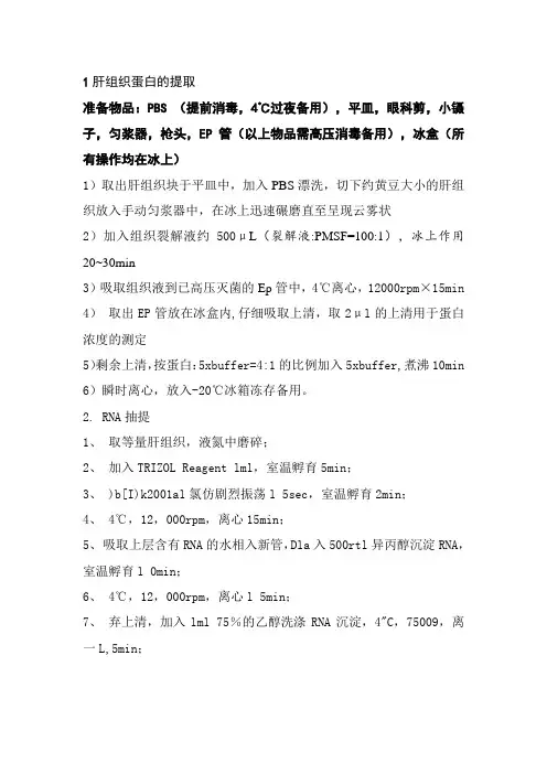 肝组织蛋白提取