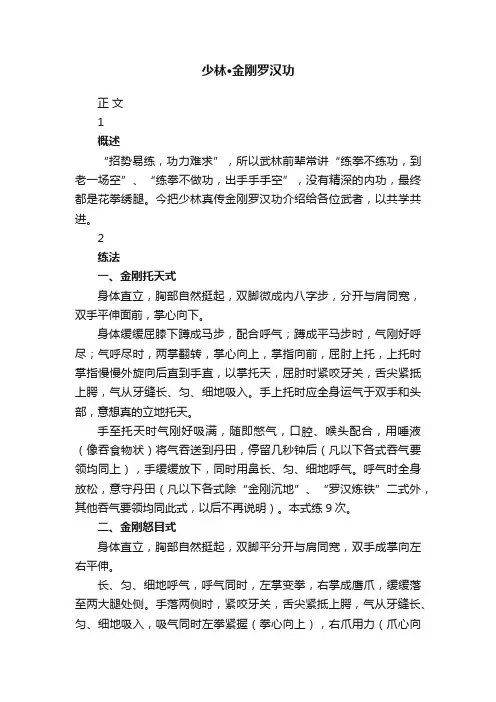 少林·金刚罗汉功