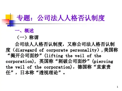 专题：公司法人人格否认制度