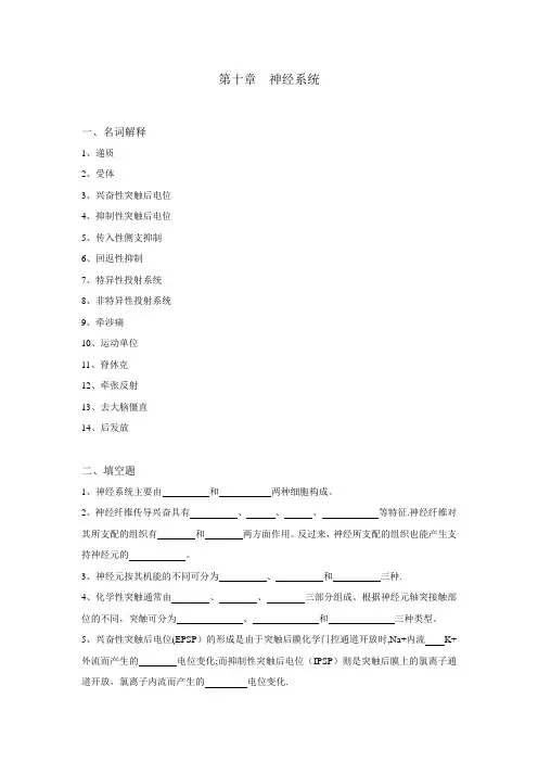 生理学试题及答案第十章-神经系统
