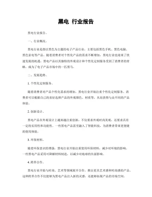 黑电 行业报告