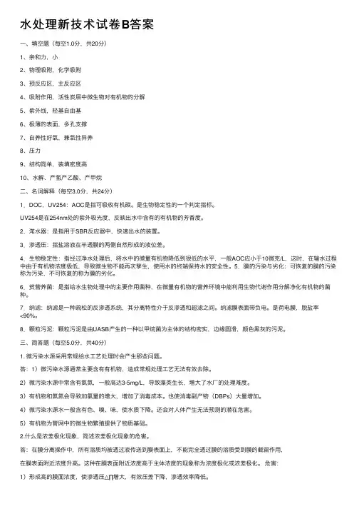 水处理新技术试卷B答案