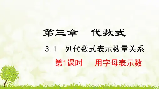 人教版七年级数学上册《3.1.1  用字母表示数》课件ppt