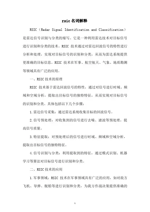 rsic名词解释