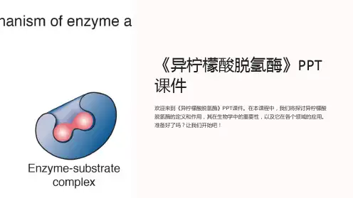 《异柠檬酸脱氢酶》课件