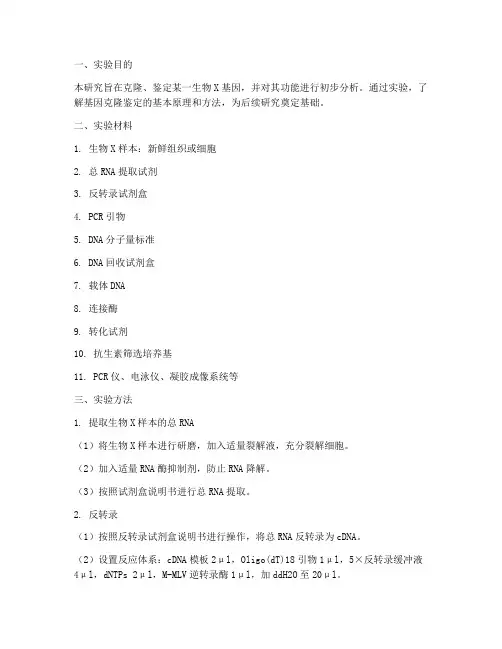 基因克隆鉴定实验报告