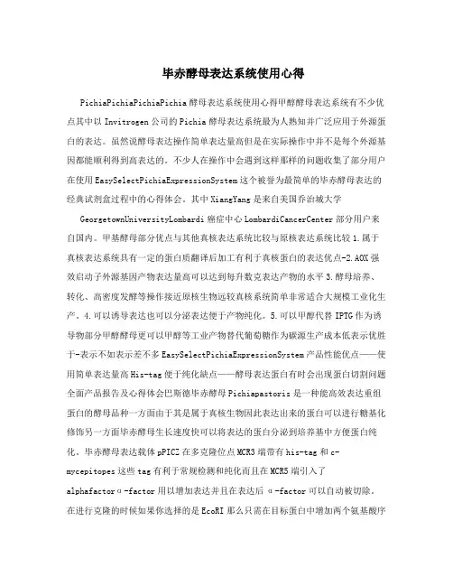 毕赤酵母表达系统使用心得