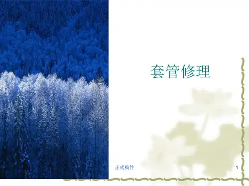 套管修理(修井工程课程)(行业相关)