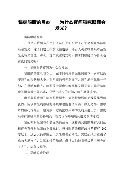 猫咪眼睛的奥妙——为什么夜间猫咪眼睛会发光？