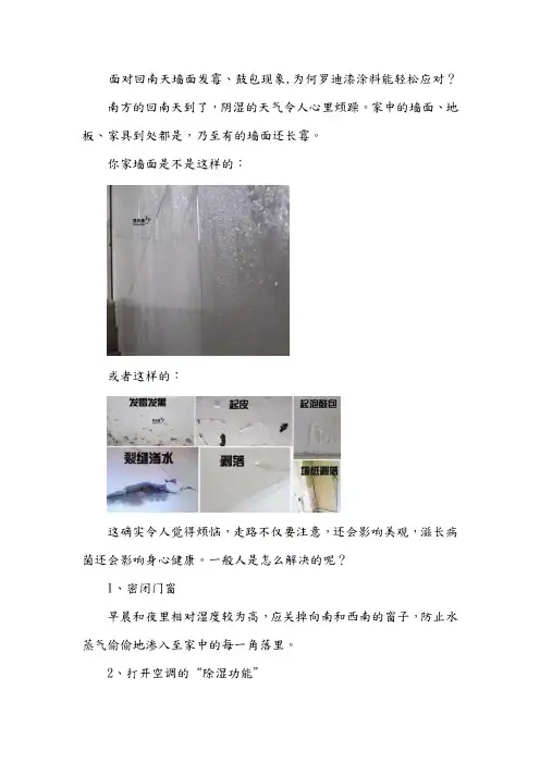 面对回南天墙面发霉、鼓包现象,为何罗迪漆涂料能轻松应对？