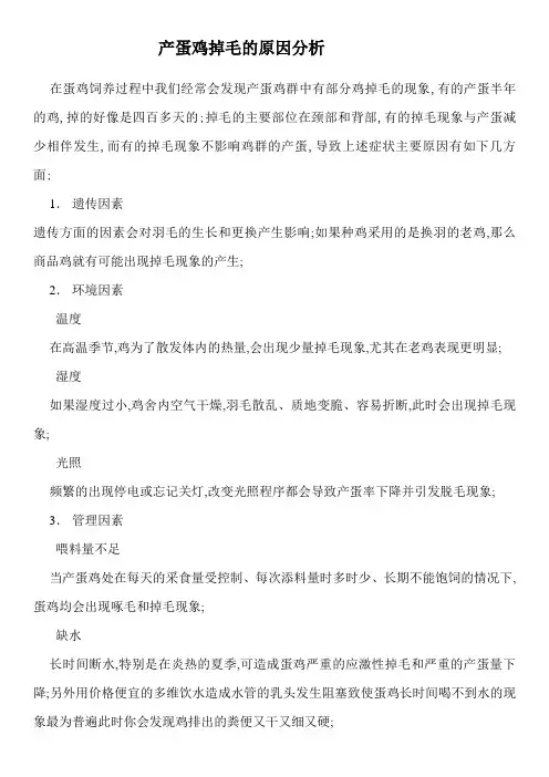 产蛋鸡掉毛的原因分析