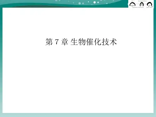 生物催化技术