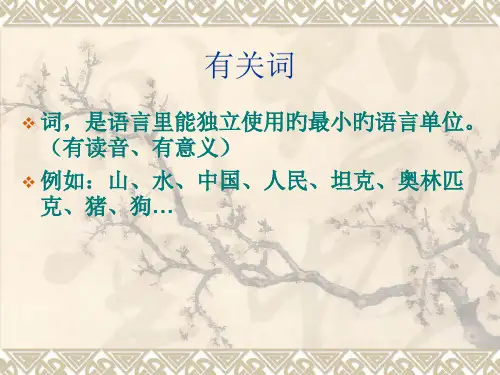 词的分类词性